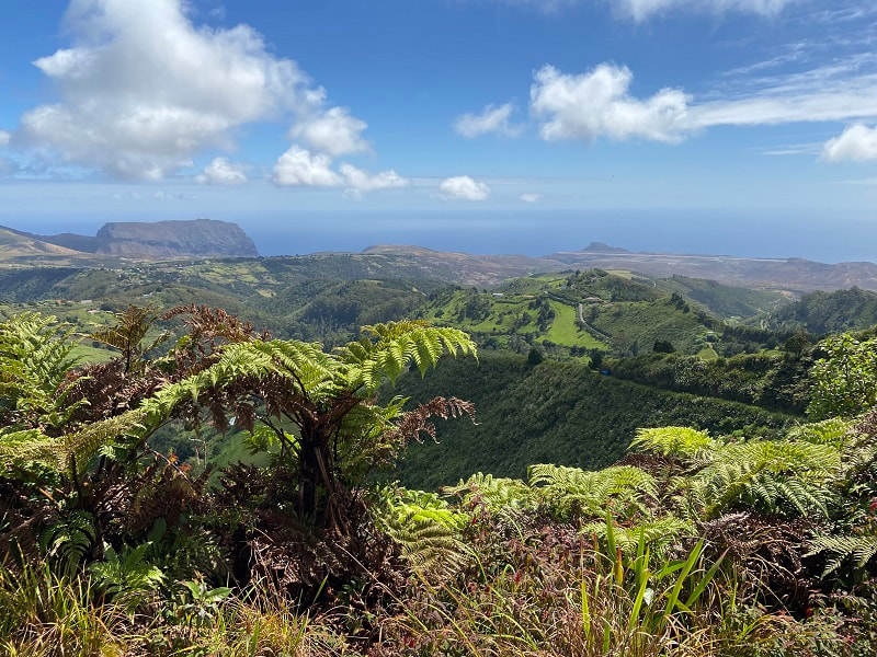 Aussicht von Diana's Peak National Park auf St. Helena mit Baumfarn