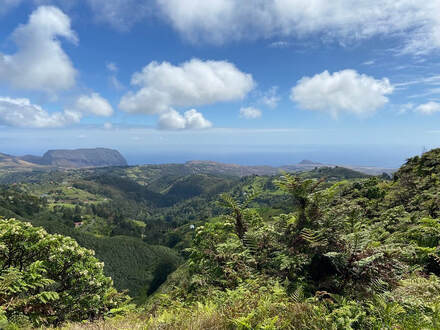 Freiwilligenarbeit auf einer abgelegenen Insel wie St. Helena