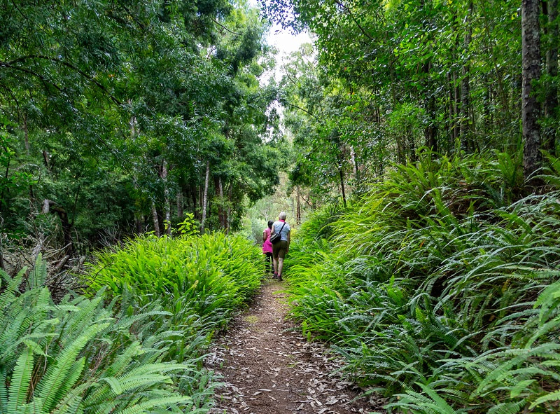 Insel St Helena Urlaub mit Wandern