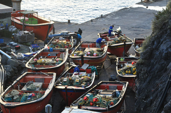 Fischerboote auf Tristan da Cunha